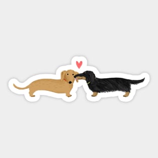 Dachshunds Love | Cute Wiener Dogs with Heart Sticker